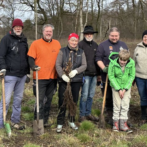 Gruppe von Grünen während der Baumpflanzaktion